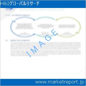 市場と産業調査レポートのイメージ